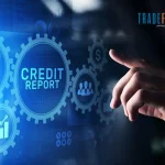 A Comprehensive Guide On Business Credit Score