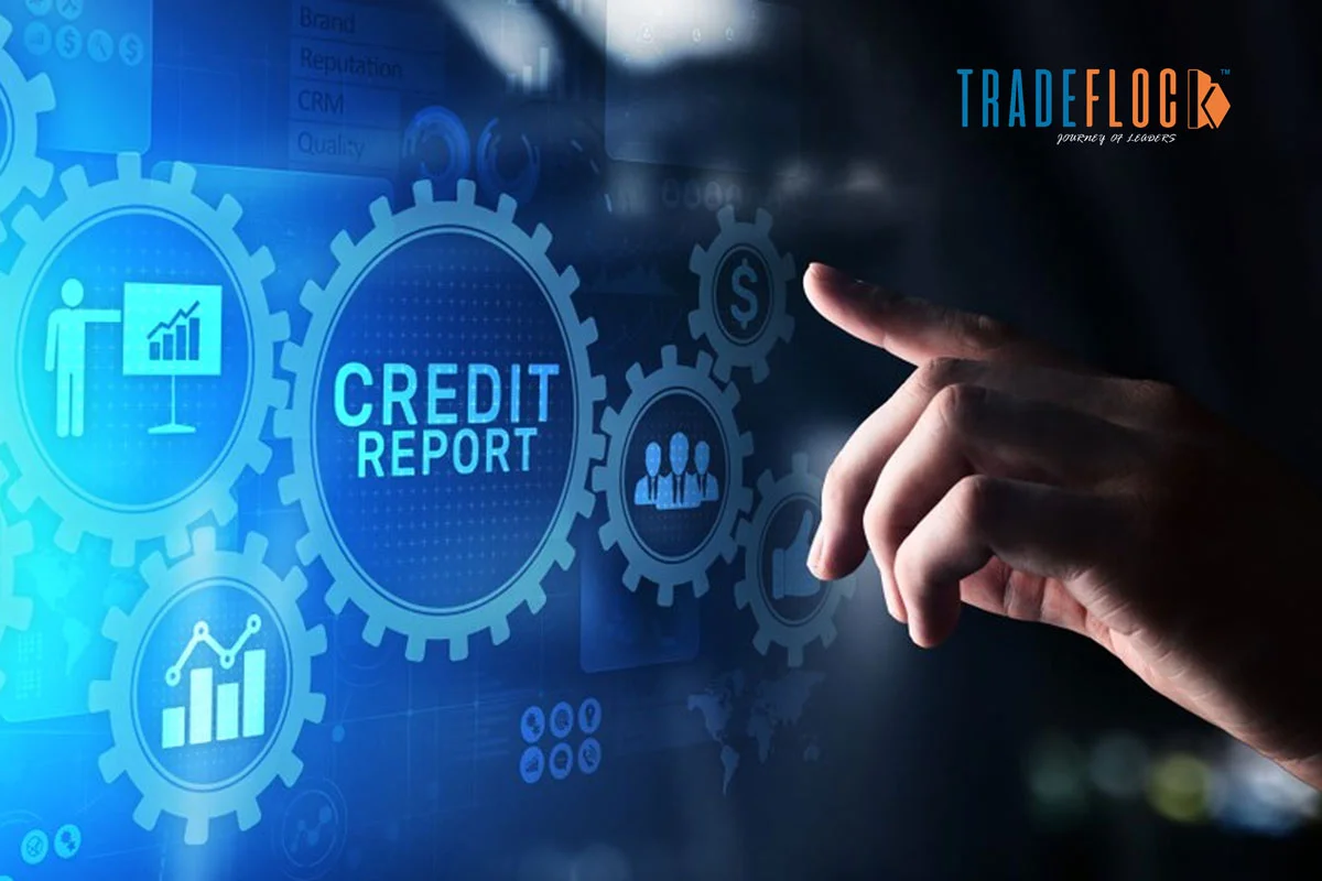 A Comprehensive Guide On Business Credit Score