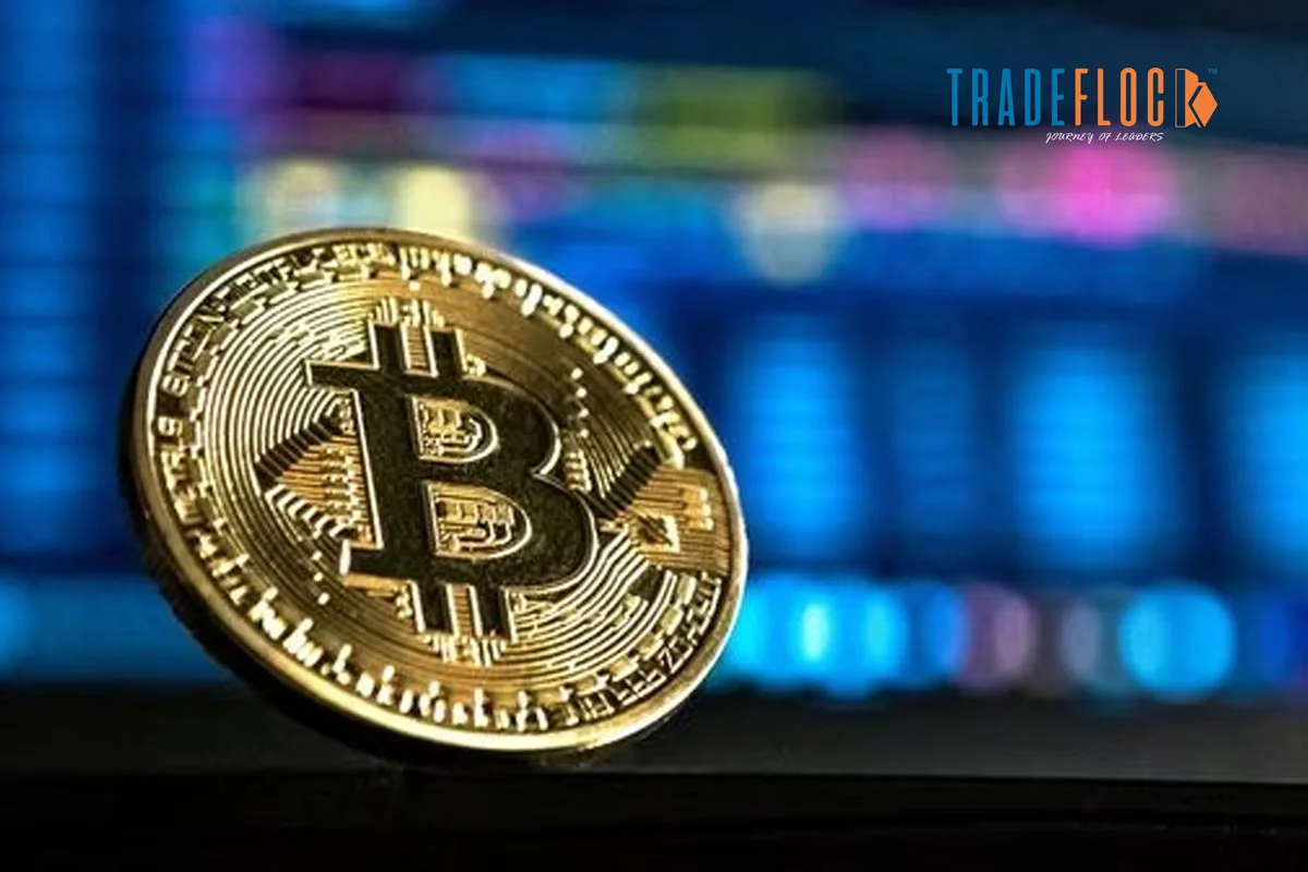 US SEC Approved Bitcoin ETF: What Is In There For You?