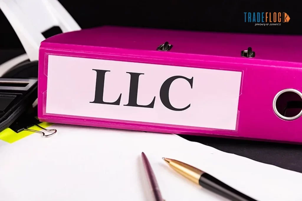 How To Start An LLC In 2024: A Thorough Guide To Help You